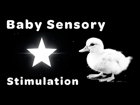 Baby Sensory Stimulation - 5 Hours of Black and White Animated Imagery
