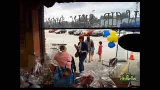 The Webster Ca$h Mob Movie