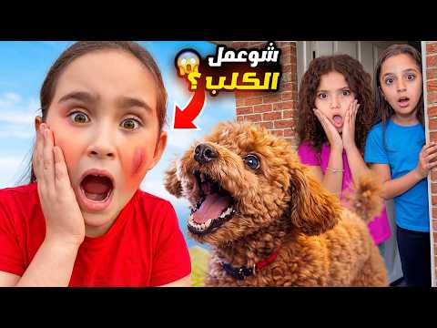 كلب نايا عض ملك بوجهها -مقلب الهدايا المزيفة بنايا!