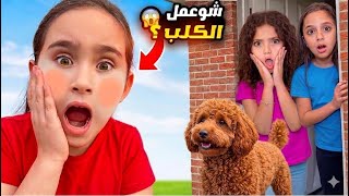 كلب نايا عض ملك بوجهها -مقلب الهدايا المزيفة بنايا!