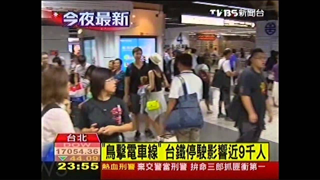 「鳥擊電車線」 台鐵41列次誤點、影響1.5萬人