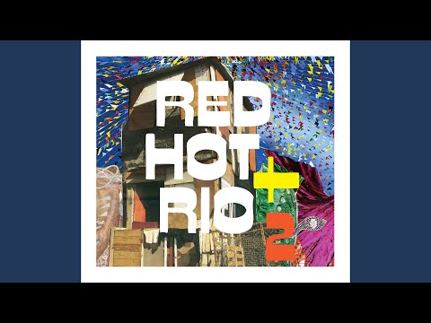 Um Girassol da Cor do Seu Cabelo