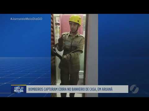 Cobra é encontrada dentro de banheiro em Aruanã