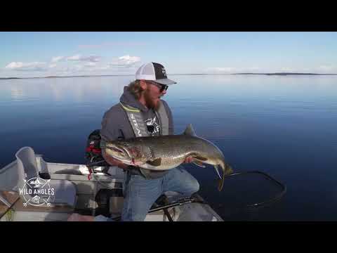 NWT Lake Trout Fishing Non Stop Action at Aylmer Lake Lodge