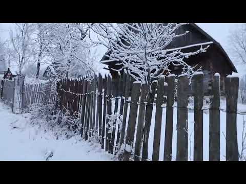 Iarna in satul Bunila. VIDEO SCURT