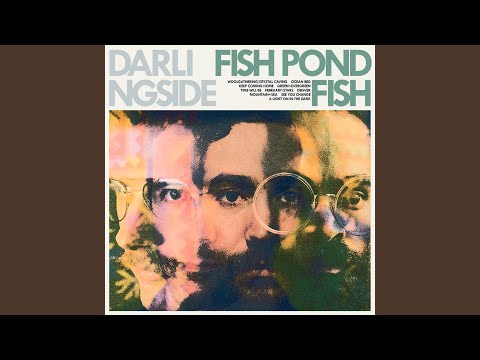 Time Will Be - Darlingside