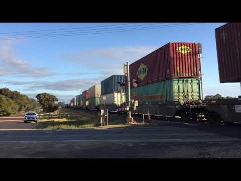 6MP5 NR58 NR42 pass two wells