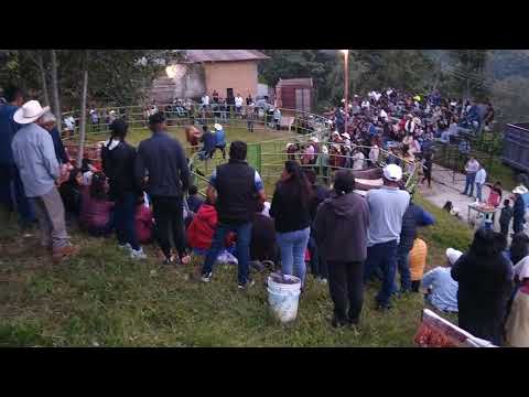 Jaripeo profesional,en San Francisco Huehuetlán Oaxaca, 04 de Octubre de 2023, fiesta patronal.