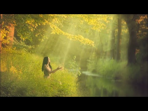 Con đường của nắng - Hoàng Trang