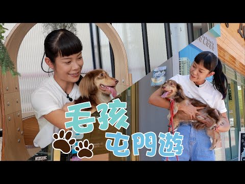 【毛孩Special】毛孩屯門遊
