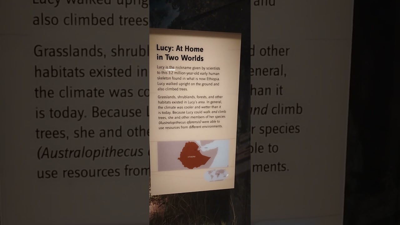 Facts of where Lucy, the Australopithecus lived at the Smithsonian Museum of Natural History pt 2