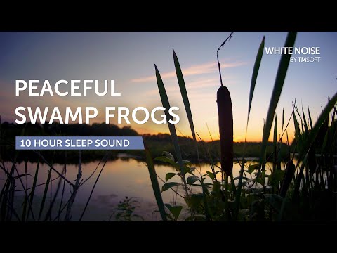 Peaceful Cattail Swamp Frogs, Bullfrogs, Toads, and Crickets Sleep Sound - 10 Hours - Black Screen