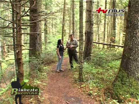 Iubeste Bucovina - Catedrala vie de la Poalele Raraului - TV PLUS
