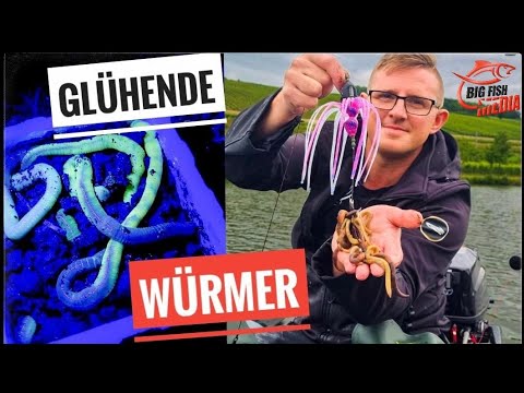 Mit LEUCHTWÜRMERN auf WELS am Fluss – Gregor trifft den Profi