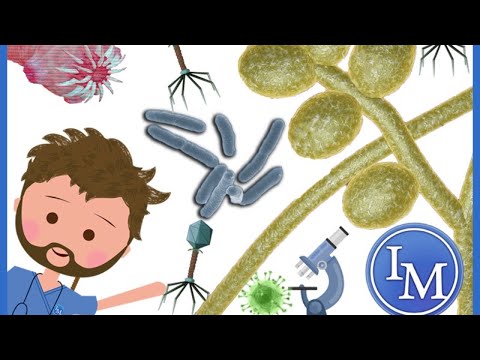 Inductivo a Microbiología | Día 1/2