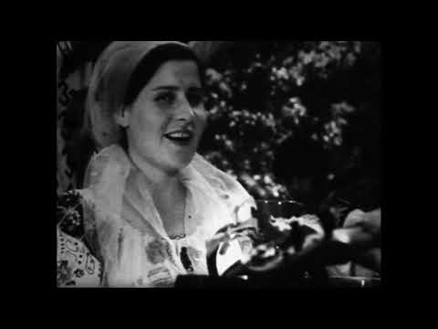 Nina Ermurachi - Pădure, verde pădure (1970)