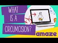 What Is Circumcision AskAMAZE