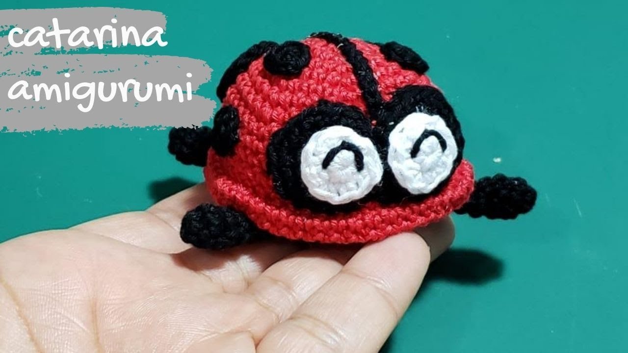 Catarina o mariquita amigurumi