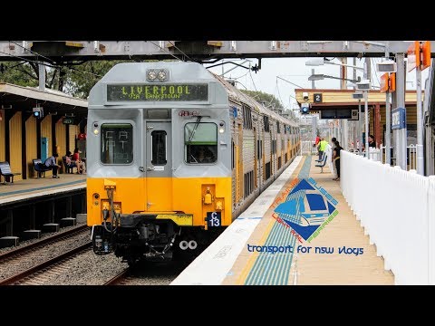 Transport for NSW Vlog No.1122 Leightonfield part 2