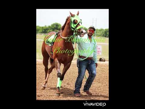 Rodrigo Alejandre El Niñote