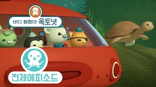 바다 탐험대 옥토넛 - 붉은바다거북 (시즌3 에피소드18 - 전체에피소드)