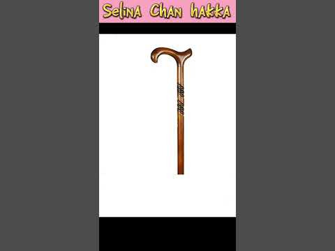 Selina Chan hakka (VLOG 96) bridge 桥 learning hakka