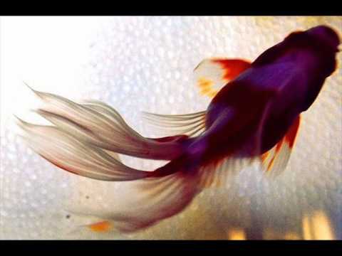 tONKPROJECT - Unseen unheard untouched (Artette unsaid mix)