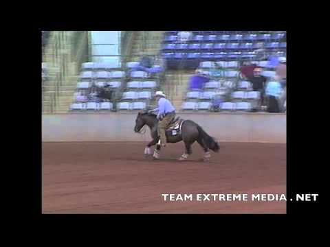 RIPPLE WRANGLER AND RANDY SCHAFFHAUSER AT THE 2015 TNRHA SPINNING IN THE REIN OPEN DERBY