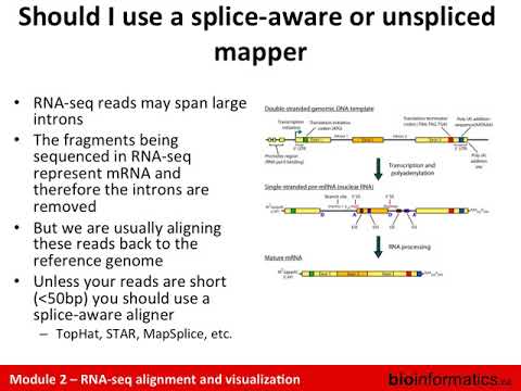 RNA-seq Alignment and Visualization