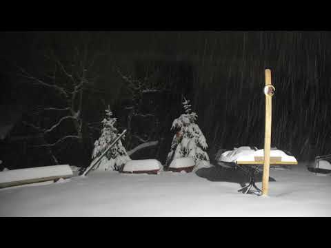 Snowstorm Time lapse - Aspen Park, Colorado - March 13/14, 2021