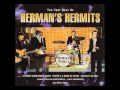 Herman's Hermits : Wonderful World 