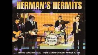 Herman's Hermits : Wonderful World