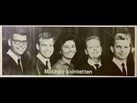 ALLE FUGLE FLØJTER - Potpourri med Malihini Kvintetten