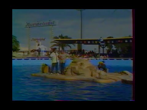 Antenne 2 - Extraits Louf (01/04/1989)