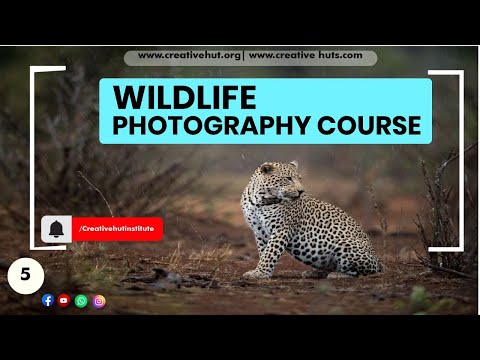 Creative Hut Institute of Photography Kottayam General video thumbnail 25