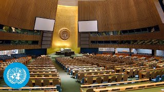 [爆卦] 聯合國第10次特別緊急會議 直播