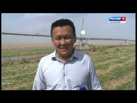 «Өрүнә һарц» от 15.09.2018