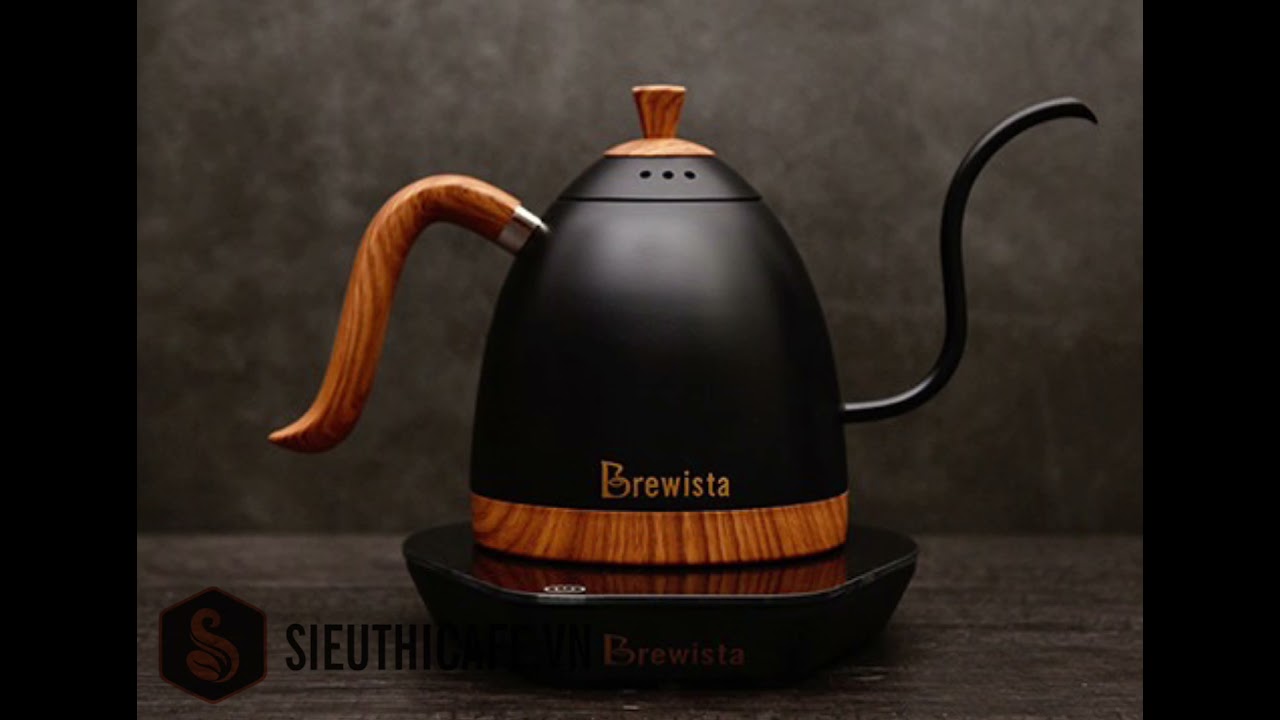 Ấm Rót Brewista Artisan Gooseneck Kiểm Soát Nhiệt Đen Mờ 600ml