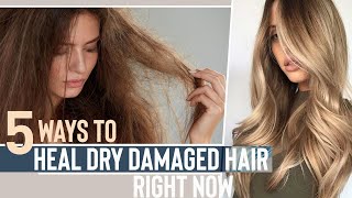 5 Ways To Heal DRY Damaged Hair In One Day