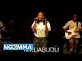 Nikuabudu