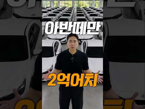 아반떼 2억원치 주세요