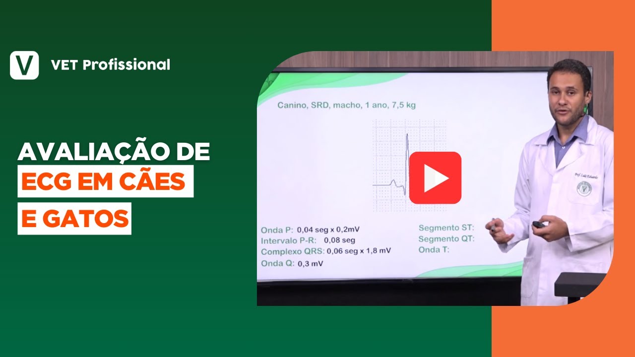 Cardiologia de Cães e Gatos: ECG - Avaliação de Ondas e Intervalos
