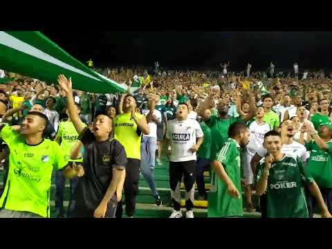 "la hinchada del cali es una maravilla.." Barra: Frente Radical Verdiblanco • Club: Deportivo Cali