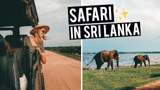 Safari Experience in Sri Lanka | Yala National Park