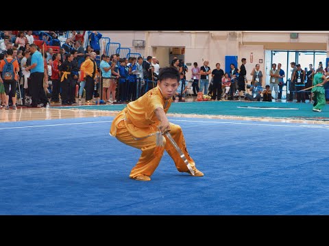 [2019] Jason Zheng - 8.53 - Jianshu - US Wushu Team Trials
