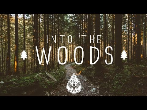Into The Woods ???? - A Mysterious Folk/Pop Playlist