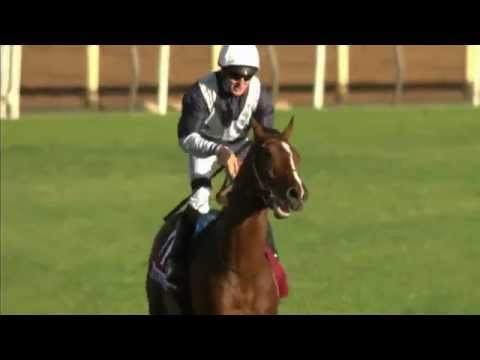 Can Karakontie Repeat in the Breeders' Cup Mile?