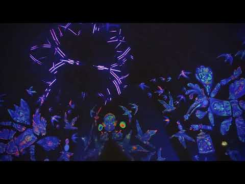 Shpongle by Michele Adamson - Behind Closed Eyelids (Live at the Dome - Ozora Festival 2022)