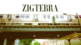 Zigtebra "Bay Bay" Music Video