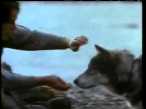 White Fang (1991) Official Trailer